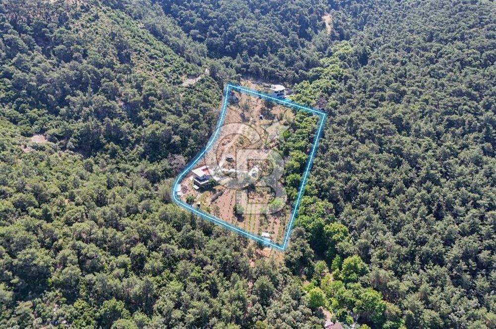 Bornova 17 Dönüm İçinde Özel Yaşam Çiftliği