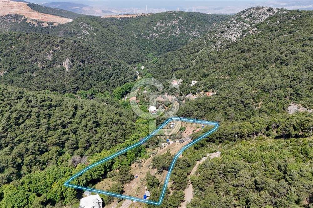 Bornova 17 Dönüm İçinde Özel Yaşam Çiftliği
