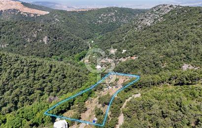 Bornova 17 Dönüm İçinde Özel Yaşam Çiftliği