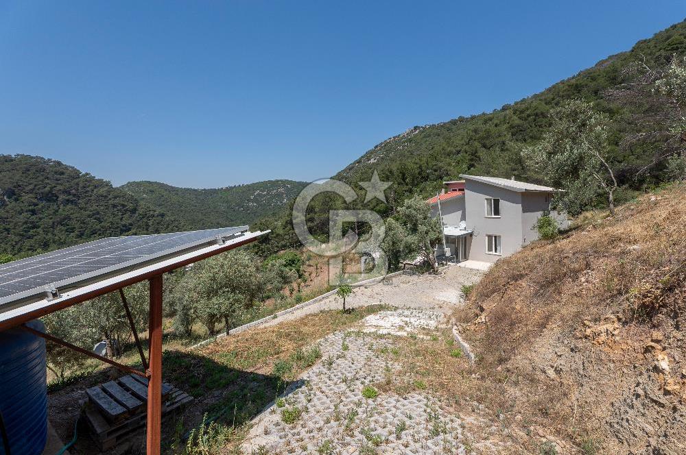Bornova 17 Dönüm İçinde Özel Yaşam Çiftliği