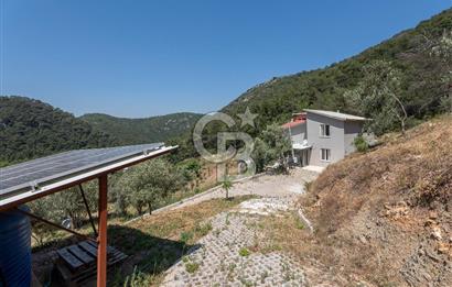 Bornova 17 Dönüm İçinde Özel Yaşam Çiftliği