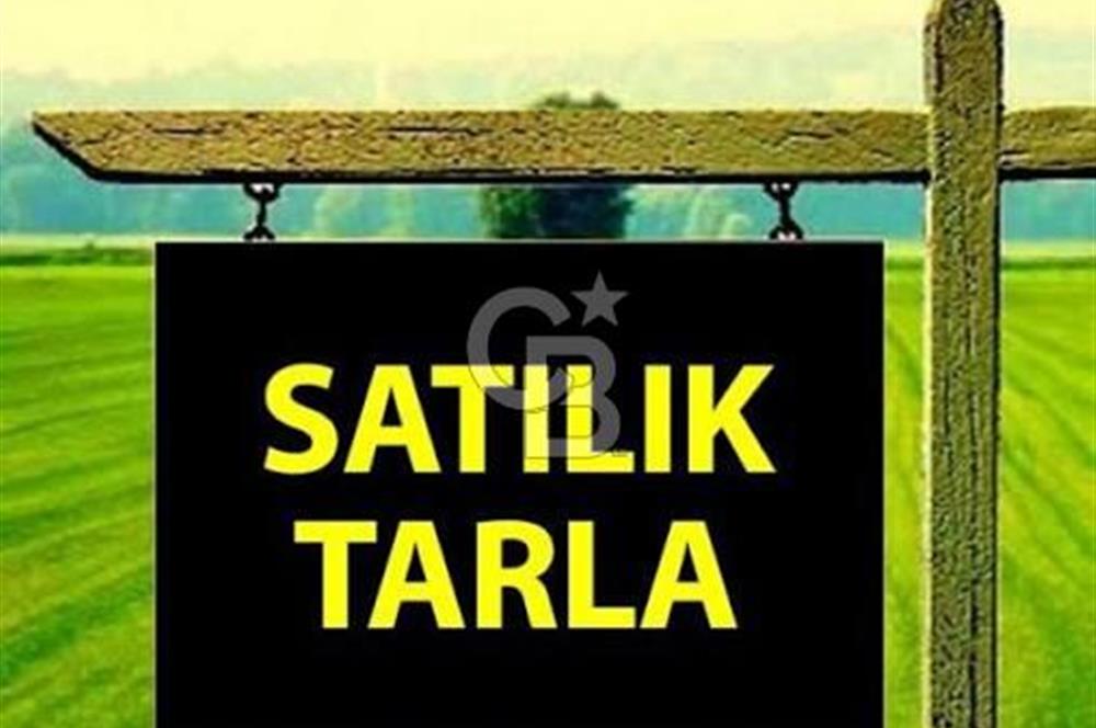 KUTLUDÜGÜN-İMARDA SATILIK HİSSELİ 250M2 SATILIK TAPULU TARLA