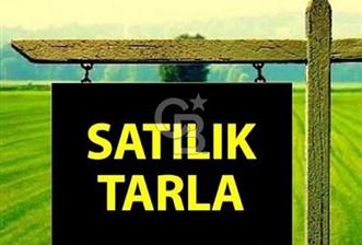 KUTLUDÜGÜN-İMARDA SATILIK HİSSELİ 250M2 SATILIK TAPULU TARLA - 11 - 354215