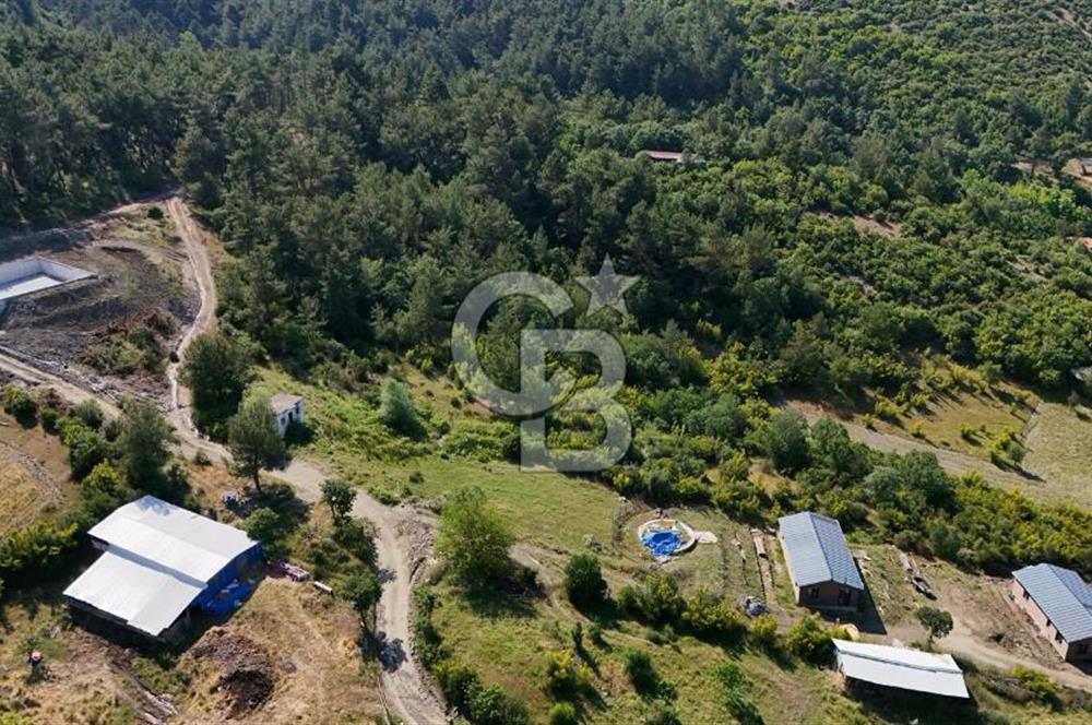 YENİCE AŞAĞIÇAVUŞ'TA VİLLA İMARLI SATILIK ARSA