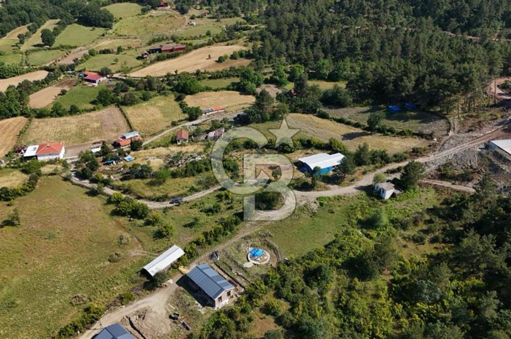 YENİCE AŞAĞIÇAVUŞ'TA VİLLA İMARLI SATILIK ARSA