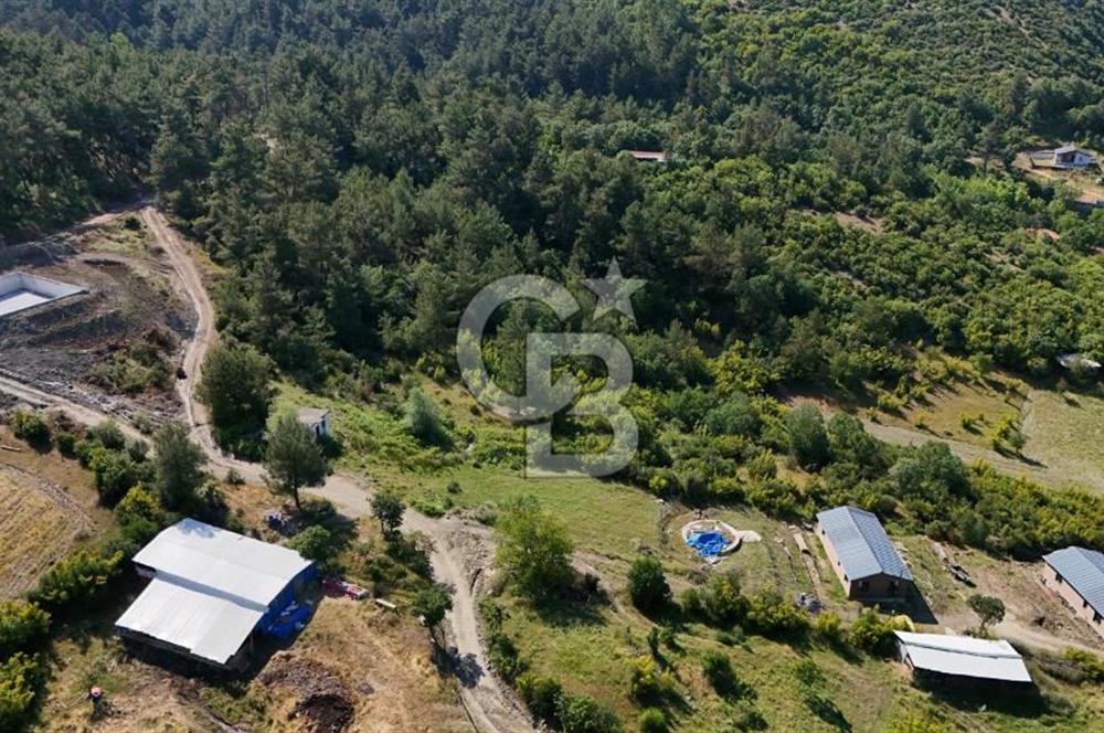 YENİCE AŞAĞIÇAVUŞ'TA VİLLA İMARLI SATILIK ARSA
