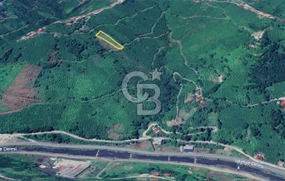 CB LİKA' DAN ÇARŞIBAŞI KADIKÖY'DE MERKEZE YAKIN SATILIK ARSA