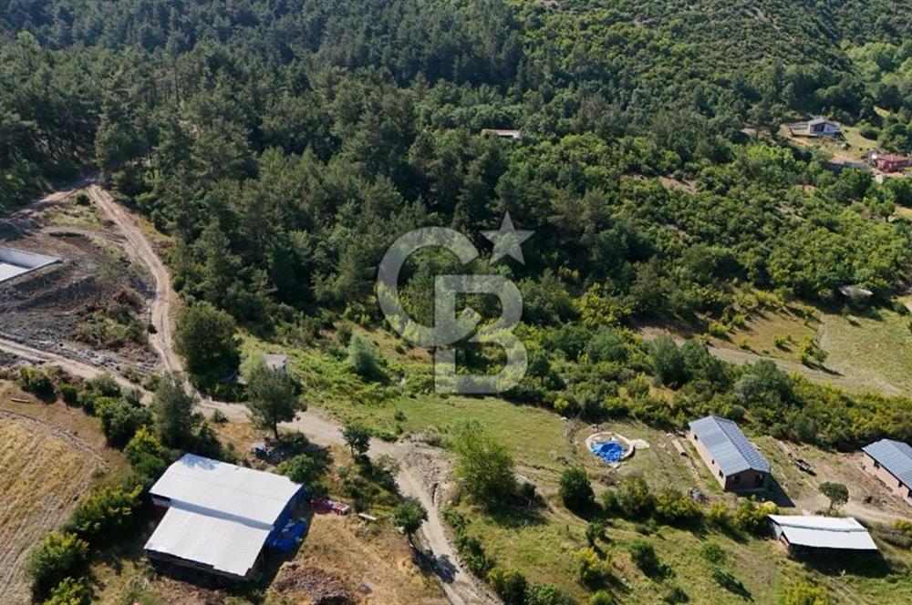 YENİCE AŞAĞIÇAVUŞ'TA VİLLA İMARLI SATILIK ARSA