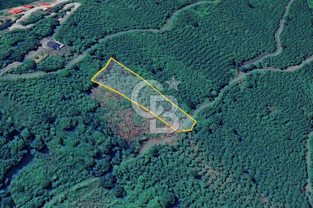 CB LİKA' DAN ÇARŞIBAŞI KADIKÖY'DE MERKEZE YAKIN SATILIK ARSA