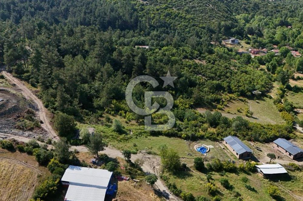 YENİCE AŞAĞIÇAVUŞ'TA VİLLA İMARLI SATILIK ARSA