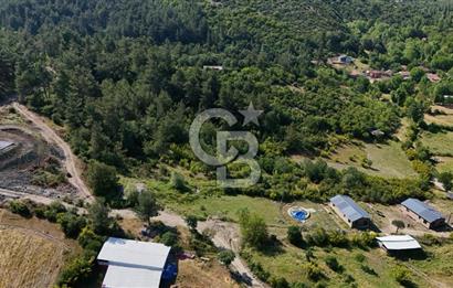 YENİCE AŞAĞIÇAVUŞ'TA VİLLA İMARLI SATILIK ARSA