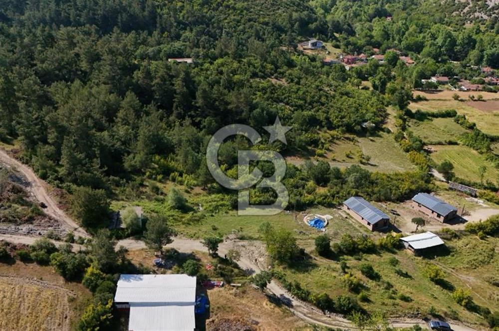 YENİCE AŞAĞIÇAVUŞ'TA VİLLA İMARLI SATILIK ARSA