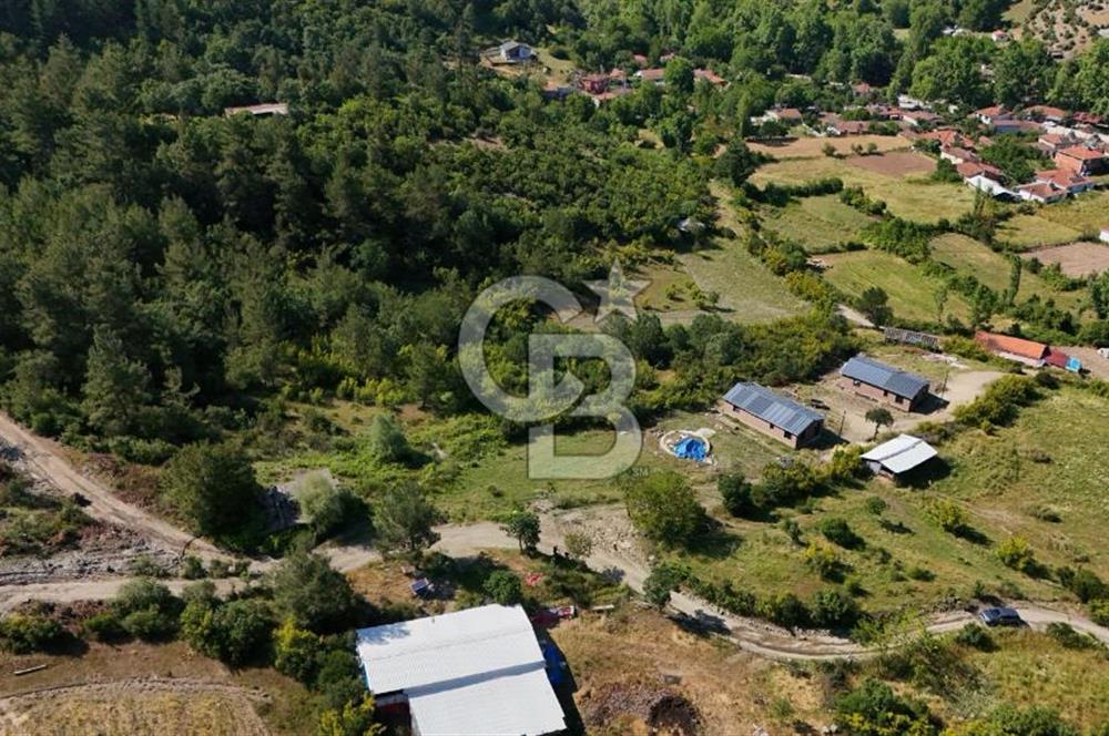YENİCE AŞAĞIÇAVUŞ'TA VİLLA İMARLI SATILIK ARSA