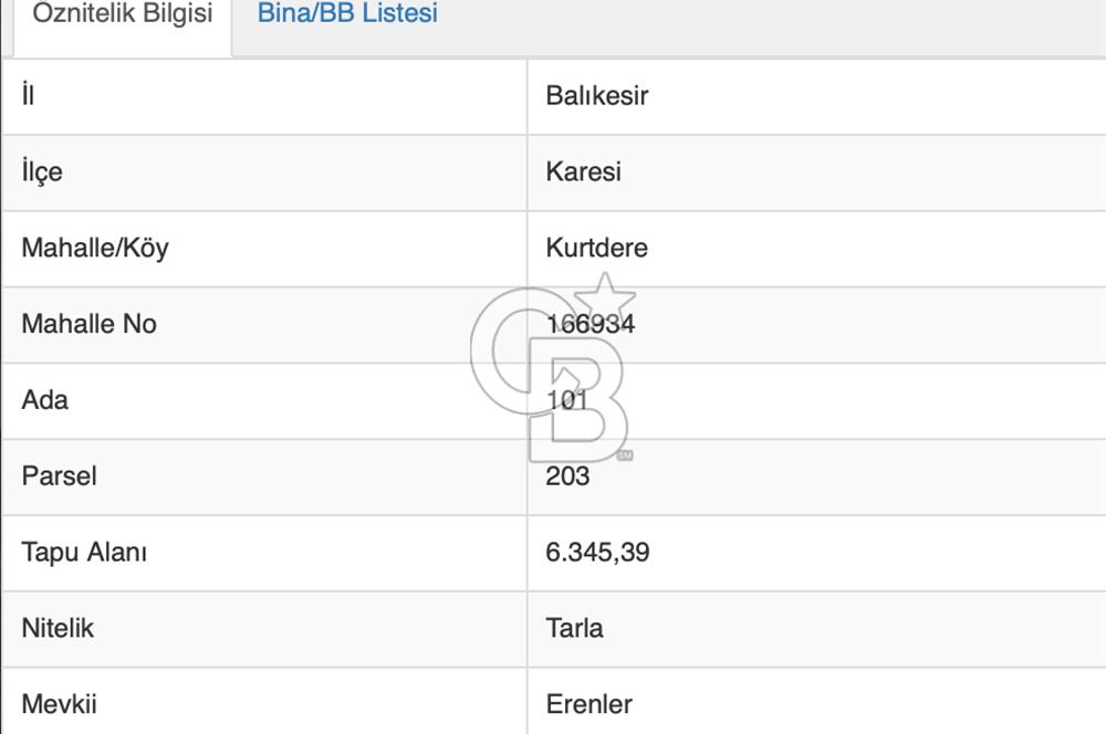CB Eagle'Dan BALIKESİR KURTDERE'DE 6.345 m² SATILIK TARLA