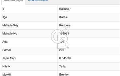 CB Eagle'Dan BALIKESİR KURTDERE'DE 6.345 m² SATILIK TARLA