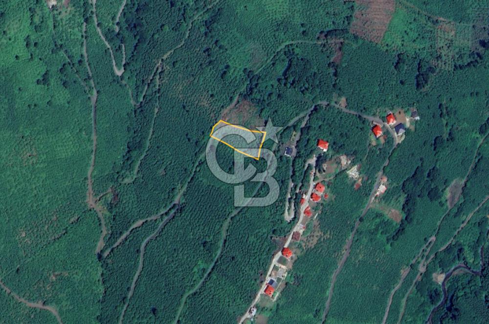 CB LİKA' DAN ÇARŞIBAŞI KADIKÖY'DE MERKEZE YAKIN SATILIK ARSA