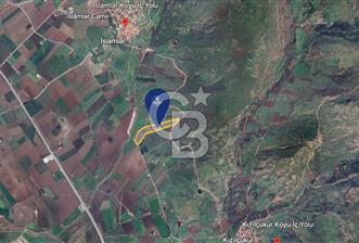 CB ODAK'TAN DİKİLİ KIZILÇUKUR'DA SATILIK 23.060 m² ZEYTİNLİK - 3 - 354267