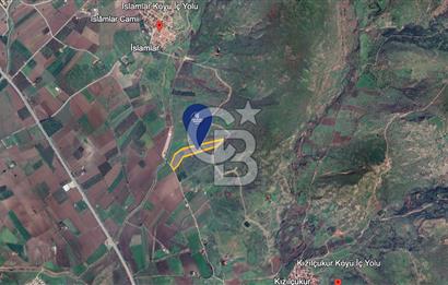 CB ODAK'TAN DİKİLİ KIZILÇUKUR'DA SATILIK 23.060 m² ZEYTİNLİK