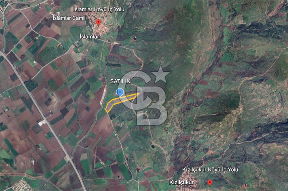 CB ODAK'TAN DİKİLİ KIZILÇUKUR'DA SATILIK 23.060 m² ZEYTİNLİK