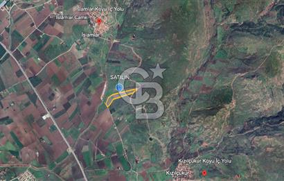 CB ODAK'TAN DİKİLİ KIZILÇUKUR'DA SATILIK 23.060 m² ZEYTİNLİK