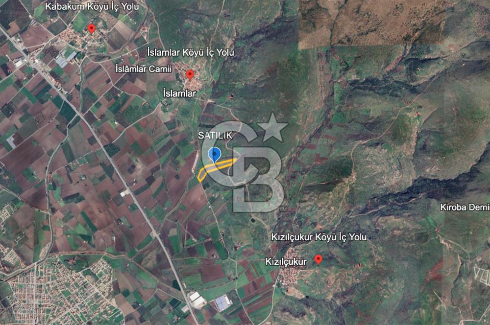 CB ODAK'TAN DİKİLİ KIZILÇUKUR'DA SATILIK 23.060 m² ZEYTİNLİK