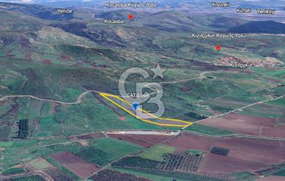 CB ODAK'TAN DİKİLİ KIZILÇUKUR'DA SATILIK 23.060 m² ZEYTİNLİK
