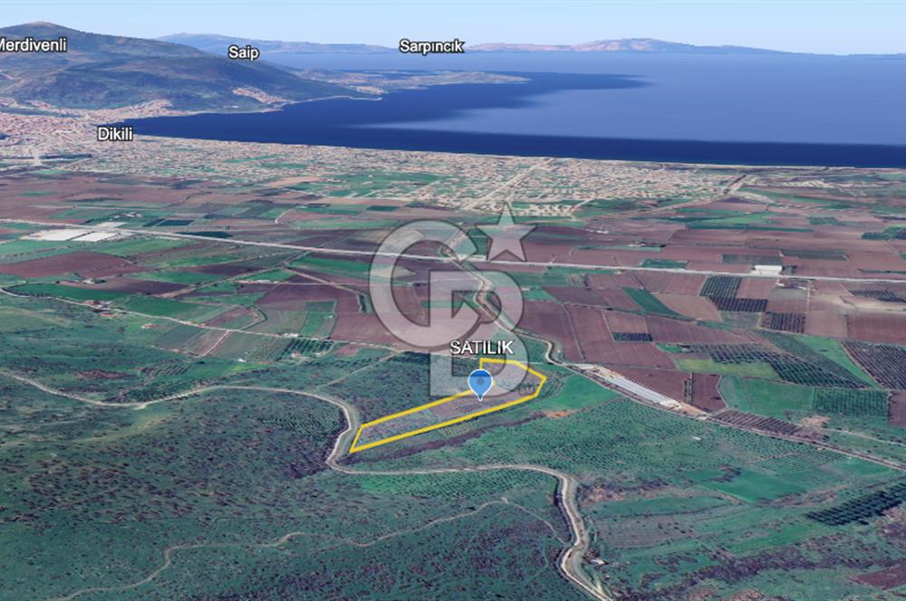 CB ODAK'TAN DİKİLİ KIZILÇUKUR'DA SATILIK 23.060 m² ZEYTİNLİK