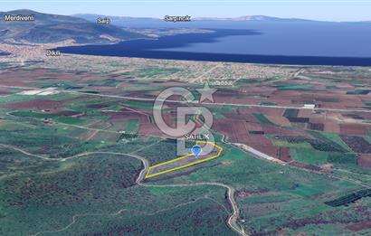 CB ODAK'TAN DİKİLİ KIZILÇUKUR'DA SATILIK 23.060 m² ZEYTİNLİK