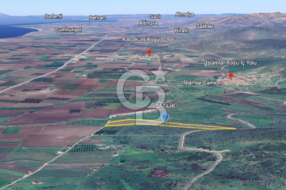 CB ODAK'TAN DİKİLİ KIZILÇUKUR'DA SATILIK 23.060 m² ZEYTİNLİK