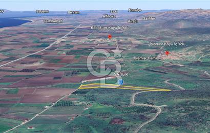 CB ODAK'TAN DİKİLİ KIZILÇUKUR'DA SATILIK 23.060 m² ZEYTİNLİK