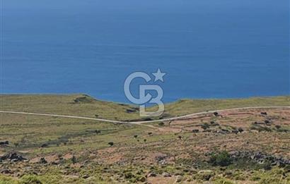 GÖKÇEADA ÇINARLI MEVKİSİNDE 250 M2 HİSSE 