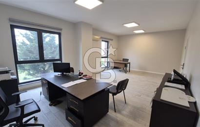 BAŞİSKELE'DE PRESTİJLİ YÜKSEK TİCARİ POTANSİYELLİ SATILIK OFİS