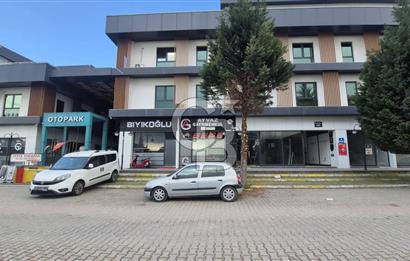 BAŞİSKELE'DE PRESTİJLİ YÜKSEK TİCARİ POTANSİYELLİ SATILIK OFİS