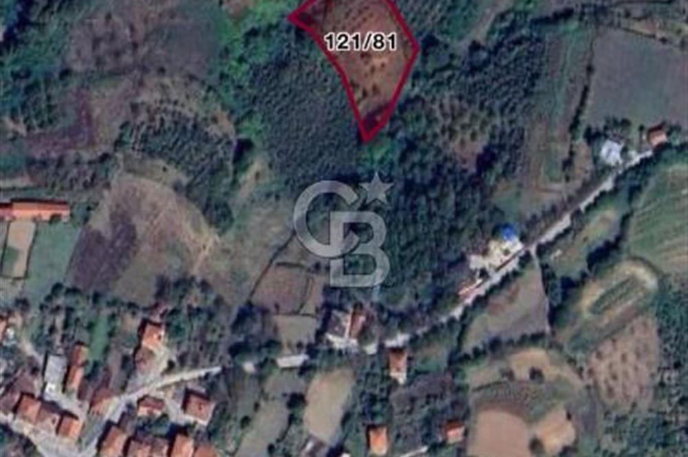 CB AKADEMİ İZMİT BALÖREN KÖYÜNDE ACİL SATILIK TARLA