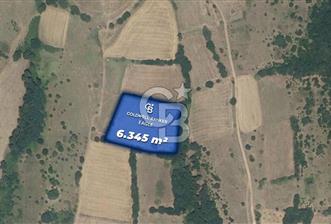 CB Eagle'Dan BALIKESİR KURTDERE'DE 6.345 m² SATILIK TARLA - 1 - 354250