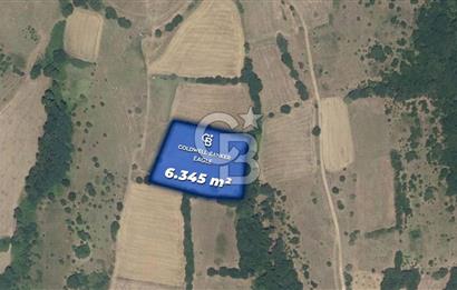 CB Eagle'Dan BALIKESİR KURTDERE'DE 6.345 m² SATILIK TARLA