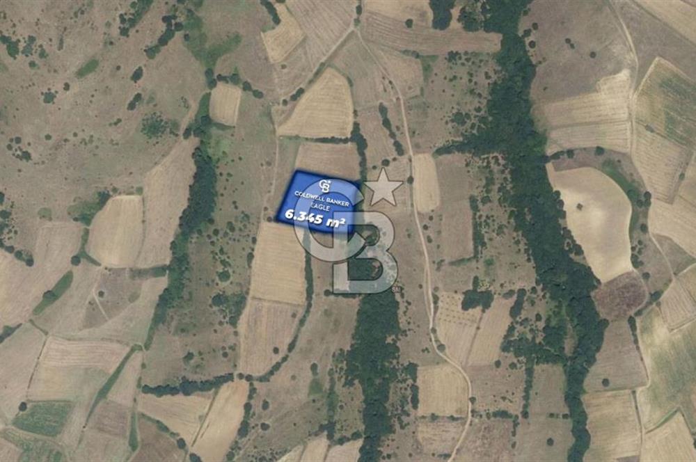 CB Eagle'Dan BALIKESİR KURTDERE'DE 6.345 m² SATILIK TARLA