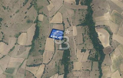 CB Eagle'Dan BALIKESİR KURTDERE'DE 6.345 m² SATILIK TARLA