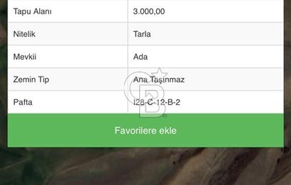 temelli beyobada tek tapu tarla