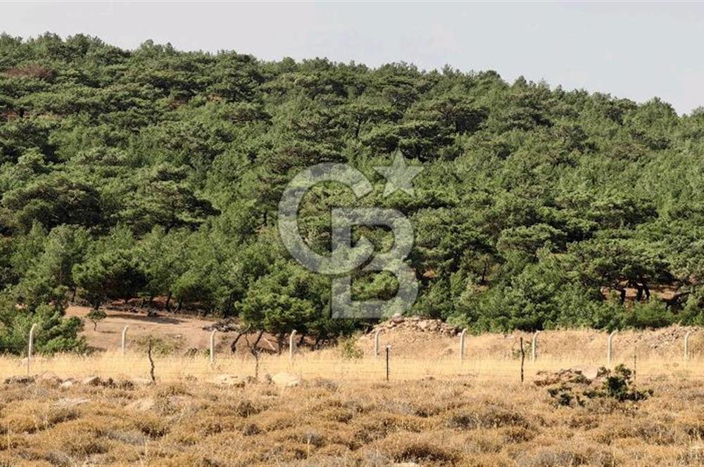 ÇANAKKALE AYVACIK DENİZ MANZARALI TURİZM TEŞVİKTE FIRSAT TARLA