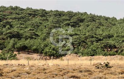 ÇANAKKALE AYVACIK DENİZ MANZARALI TURİZM TEŞVİKTE FIRSAT TARLA