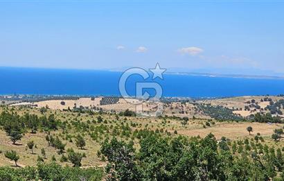 ÇANAKKALE AYVACIK DENİZ MANZARALI TURİZM TEŞVİKTE FIRSAT TARLA