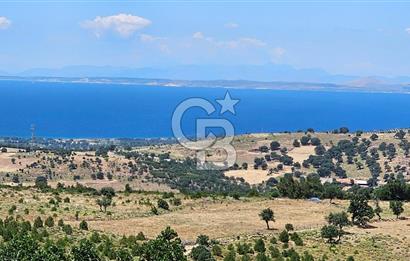 ÇANAKKALE AYVACIK DENİZ MANZARALI TURİZM TEŞVİKTE FIRSAT TARLA