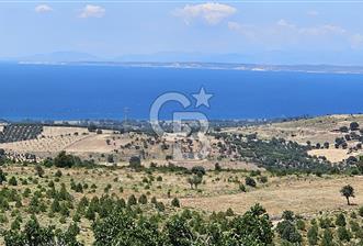 ÇANAKKALE AYVACIK DENİZ MANZARALI TURİZM TEŞVİKTE FIRSAT TARLA - 8 - 354316