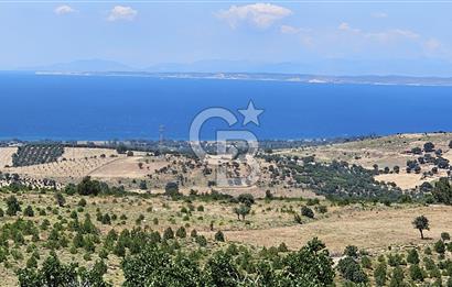 ÇANAKKALE AYVACIK DENİZ MANZARALI TURİZM TEŞVİKTE FIRSAT TARLA