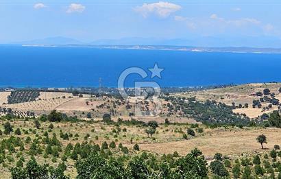 ÇANAKKALE AYVACIK DENİZ MANZARALI TURİZM TEŞVİKTE FIRSAT TARLA