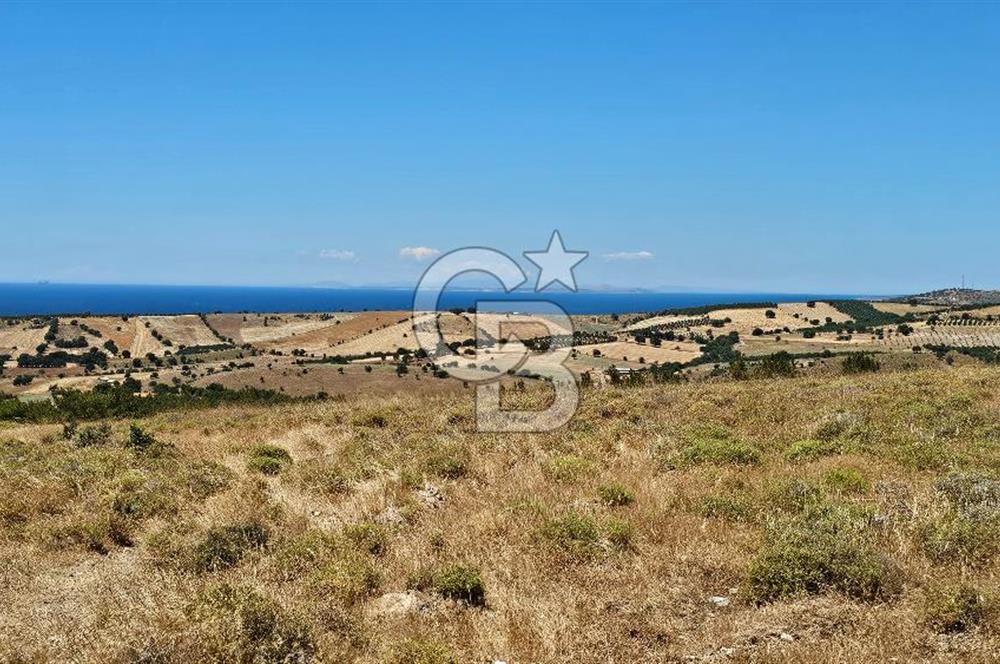 ÇANAKKALE AYVACIK DENİZ MANZARALI TURİZM TEŞVİKTE FIRSAT TARLA
