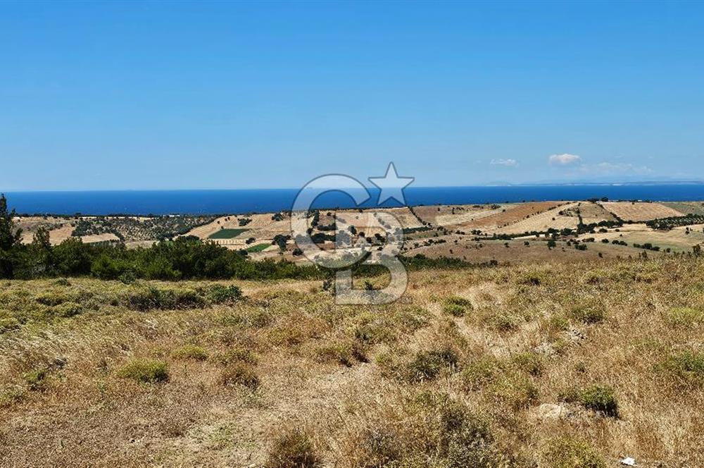 ÇANAKKALE AYVACIK DENİZ MANZARALI TURİZM TEŞVİKTE FIRSAT TARLA
