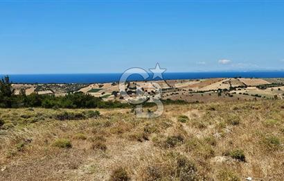 ÇANAKKALE AYVACIK DENİZ MANZARALI TURİZM TEŞVİKTE FIRSAT TARLA