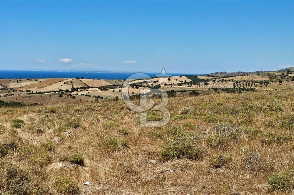 ÇANAKKALE AYVACIK DENİZ MANZARALI TURİZM TEŞVİKTE FIRSAT TARLA